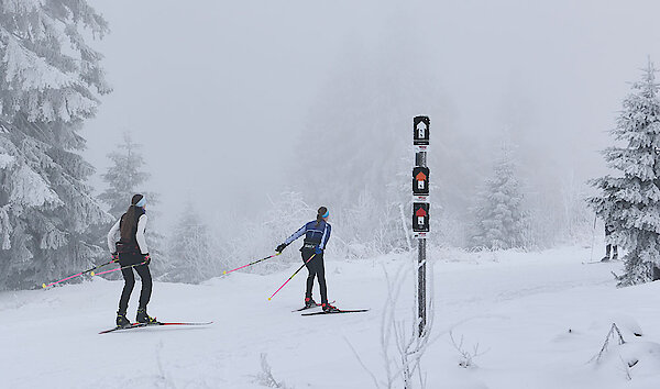 Langlaufen in Bayern - © Woidlife